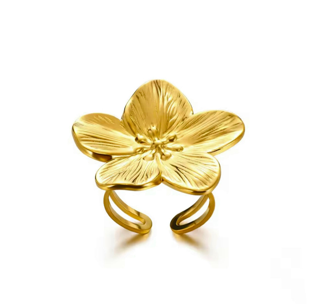 Anel Ajustável Grande em Aço Inox