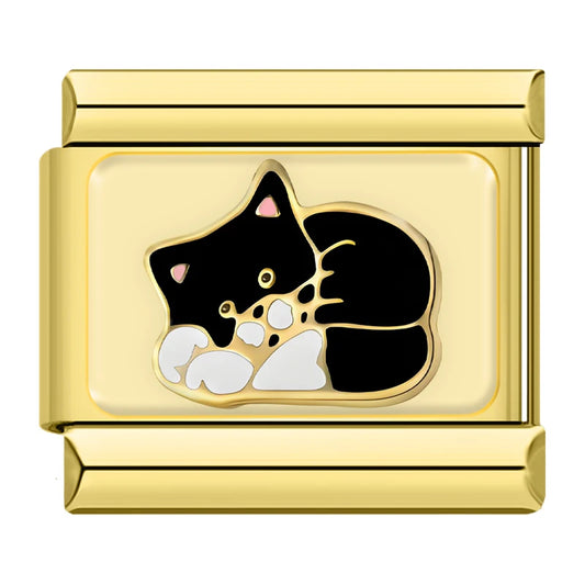 Charm Link Gato